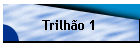 Trilh�o 1